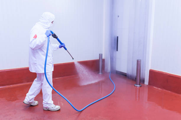 Best Factory Floor Cleaning  in Chocowinity, NC